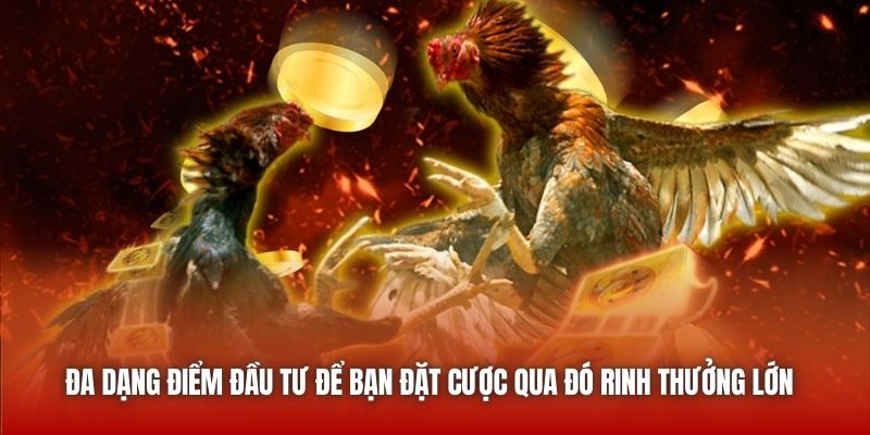 Đa dạng điểm đầu tư để bạn đặt cược qua đó rinh thưởng lớn 