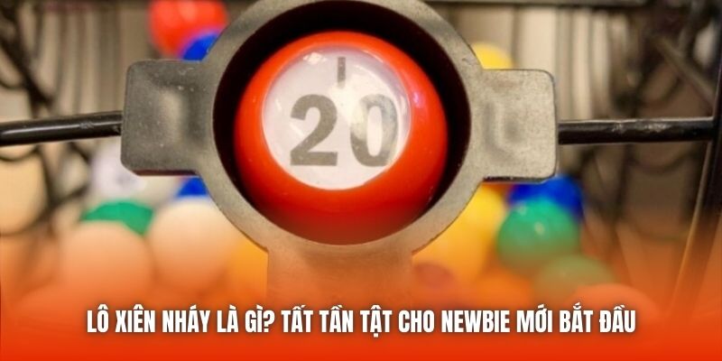 Lô Xiên Nháy Là Gì? Tất Tần Tật Cho Newbie Mới Bắt Đầu