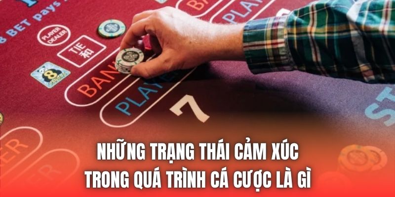 Những trạng thái cảm xúc trong quá trình cá cược là gì